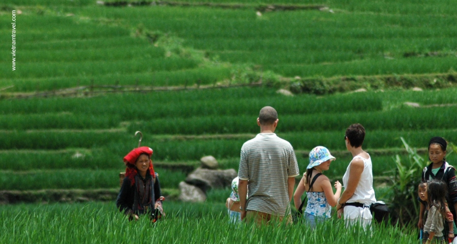 Đến nay, cả nước có hơn 600 mô hình du lịch nông nghiệp, nông thôn đang hoạt động.